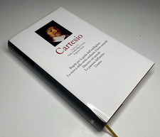 Cartesio, Regole per la guida