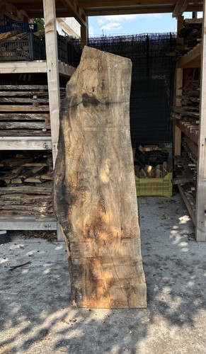 Tavola legno ulivo - in,