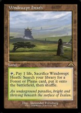 MTG WINDSWEPT HEATH 440 EXC -