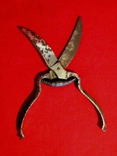 🟡  ANTICO TRANCIA POLLI /