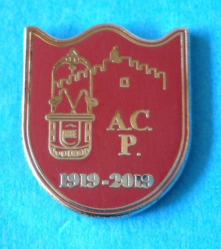 Distintivo spilla pin badge - distintivo,