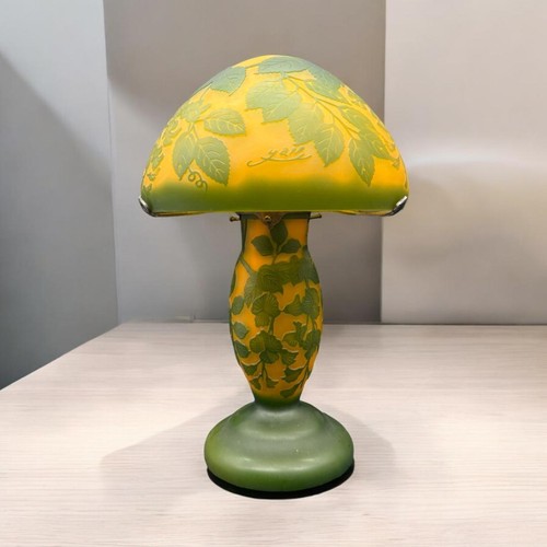 Altezza rara lampada - cm,