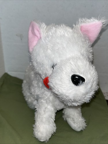 West highland white terrier - white,