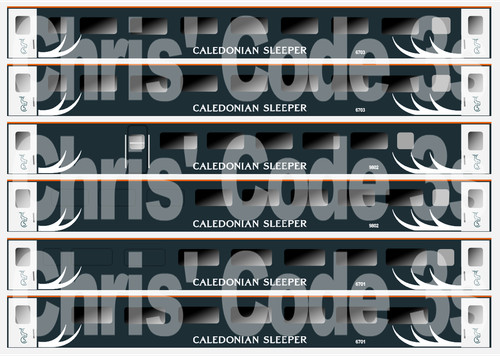 Adhesive vinyl coach decal - adhesive,