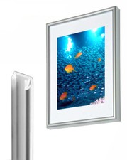 Cornici Plastica Argento 40x50