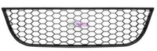 GRIGLIA PARAURTI ANTERIORE