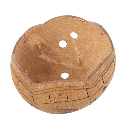 Vaso decorativo per - , bonsai