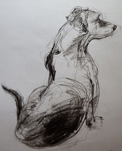 Jack russel carta disegno - da,