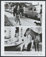 @Col Hot To Trot '88 BOB