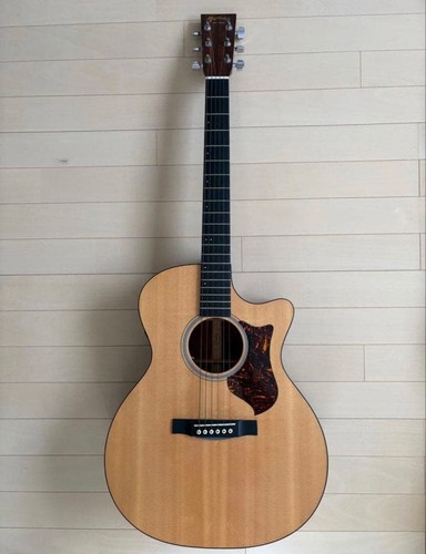 Chitarra elettrica acustica