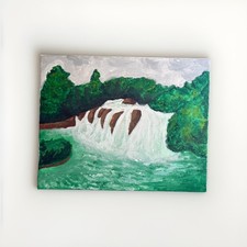 Cascata sul rio delle - rio,