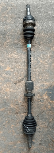 96951691 semialbero ant - 96951691,