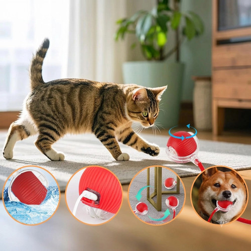 Giocattolo interattivo per - interattivo,