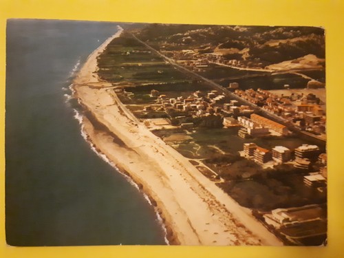 Cartolina caulonia - cartolina,
