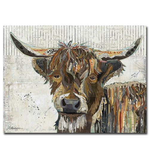 Highland cow traci anderson - di,