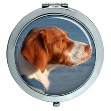 Epagneul Breton Specchio