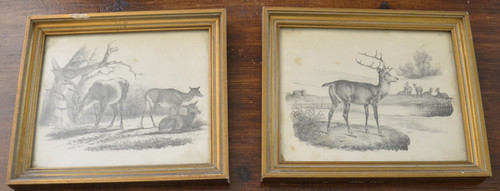 Coppia con vecchi quadri - coppia,