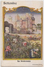 Cartolina Augurale Illustrata Breviario Grimani_Settembre La Vendemmia 1910 ca.