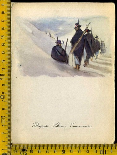 Alpini brigata taurinense - alpini,