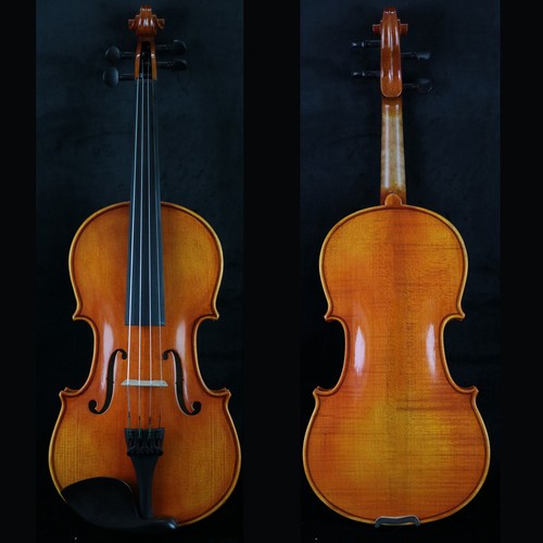 Incredibile violino fatto - incredibile,