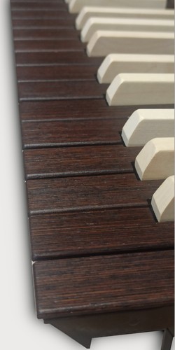 Tastiera professionale organo - professionale,