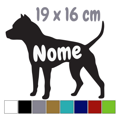 Staffordshire bull terrier - bull,