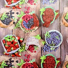 Tela Cerata Tovaglia Lavabile