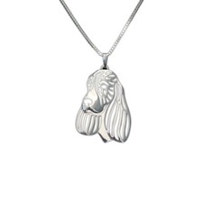 Collana Springer Spaniel