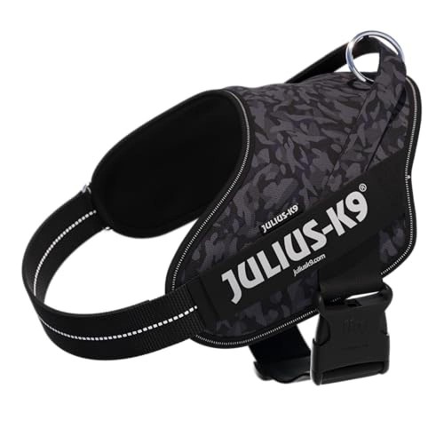 Julius pettorina - julius-k9,