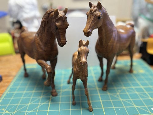 Puledro mare stallone famiglia
