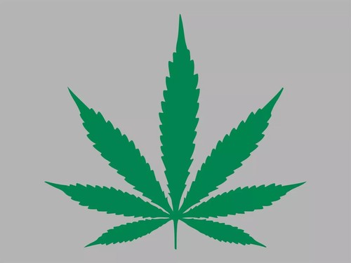 Adesivo marijuana foglia erba - adesivo,