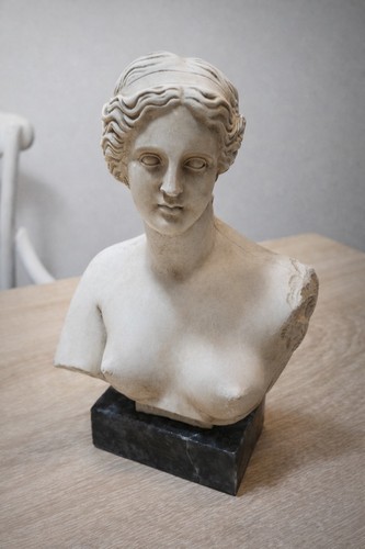 Busto greco classico venere - classico,