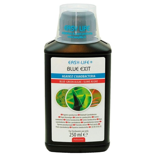 Easy life blue exit - blue,