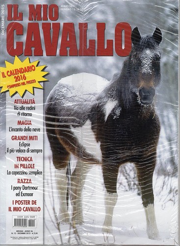 Mio cavallo 2015 - il, 12
