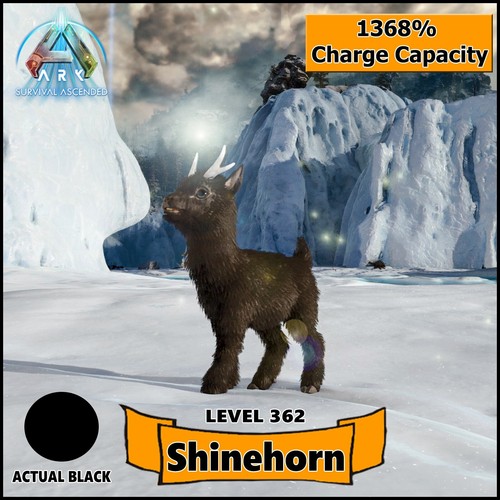 Ark survival ascended - survival,