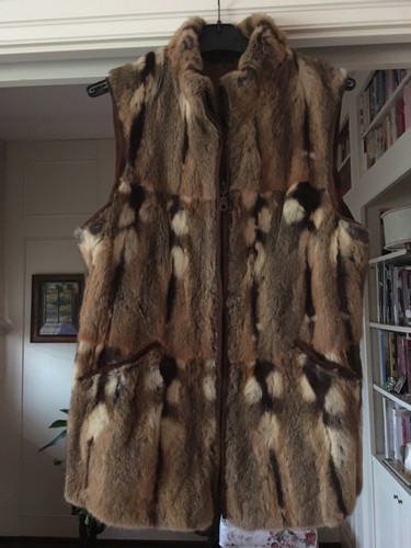 Gilet castoro - castoro,