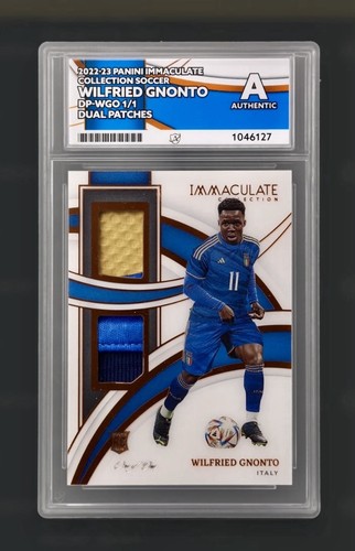 Wilfried gnonto rc panini - wilfried,
