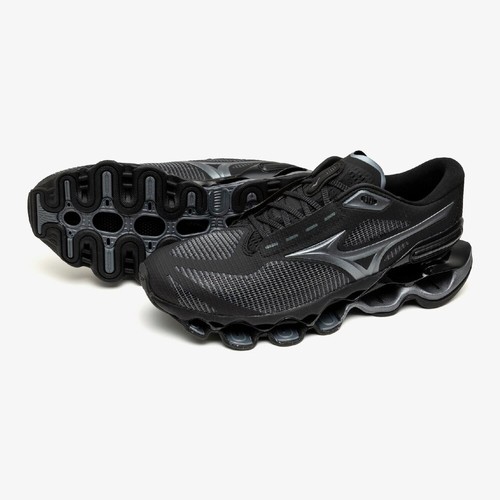 Mizuno wave prophecy - prophecy, 15