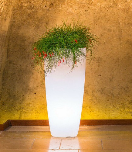 Vaso tondo moderno luminoso - vaso,
