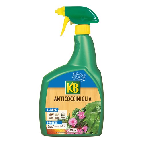Olio colza anti cocciniglia - olio,