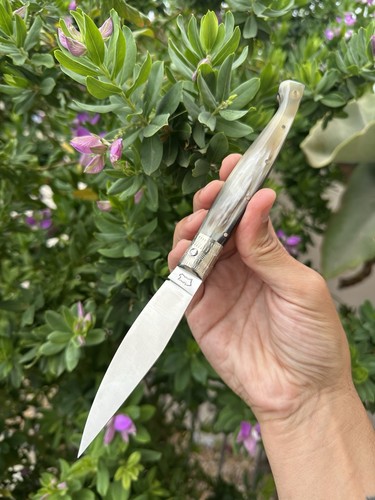 Coltello pattadese artigianale - pattadese,