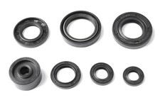 Kit guarnizioni olio motore