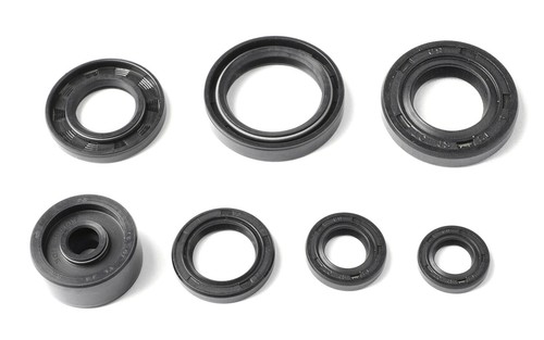 Kit guarnizioni olio motore