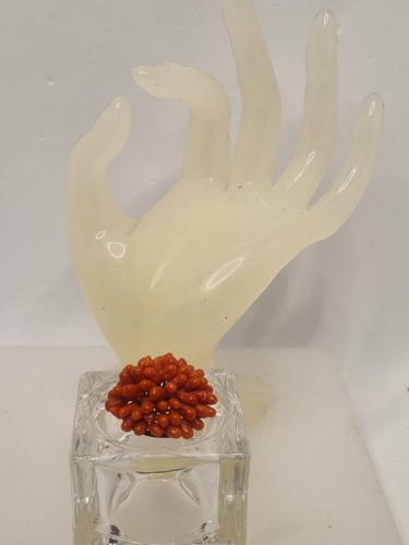 Antique coral brooch spilla - coral,