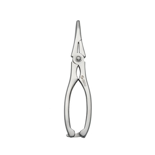 Pinza sanelli acciaio inox - acciaio,