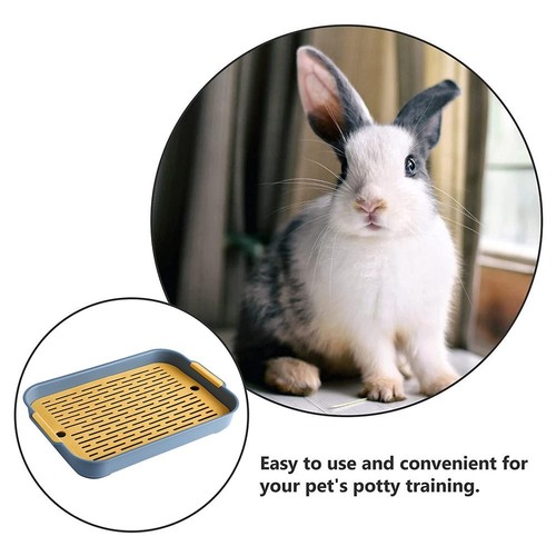 Convenient small pet toilet - pet,