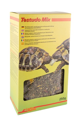 Lucky reptile testudo - reptile, mix