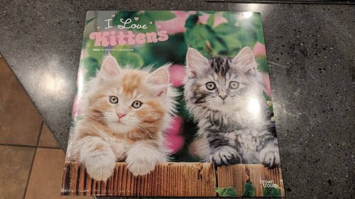 Browntrout kittens love - kittens, i