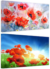 Quadri Moderni Fiori Papaveri