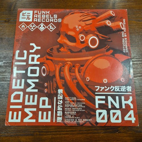 Eidetic memory fnk 004 - fnk,